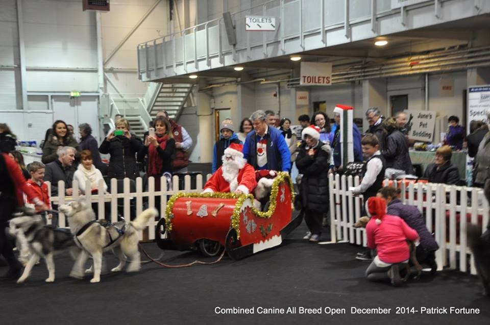 10647204_10204606075564416_2915146636512110236_n