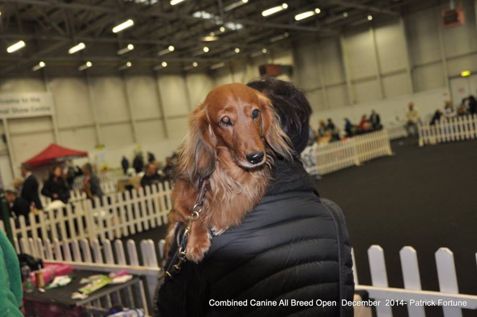 10846034_10204606085004652_8361650181237627383_n