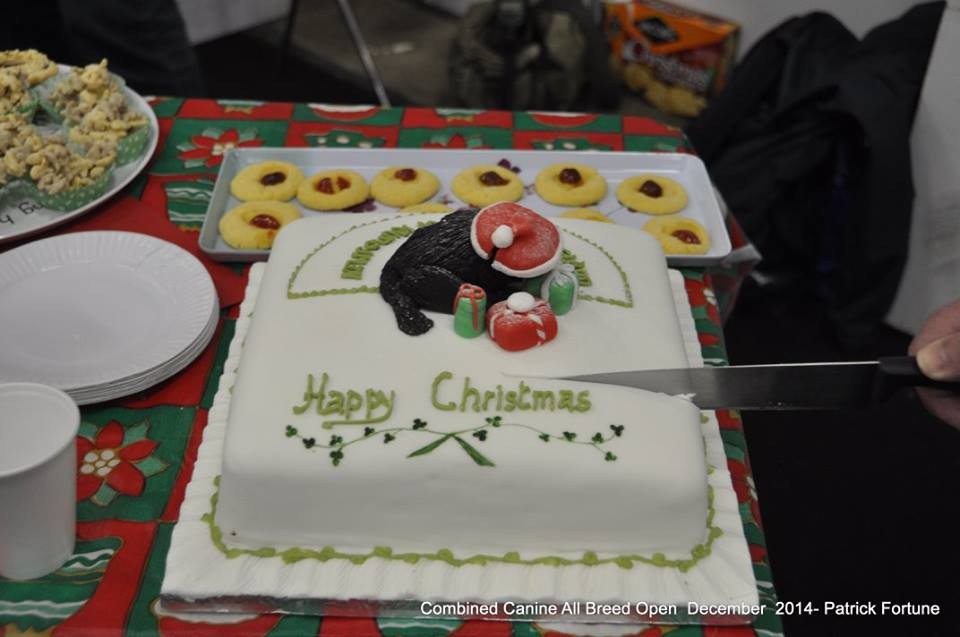 10847933_10204606080044528_1259815910587884908_n