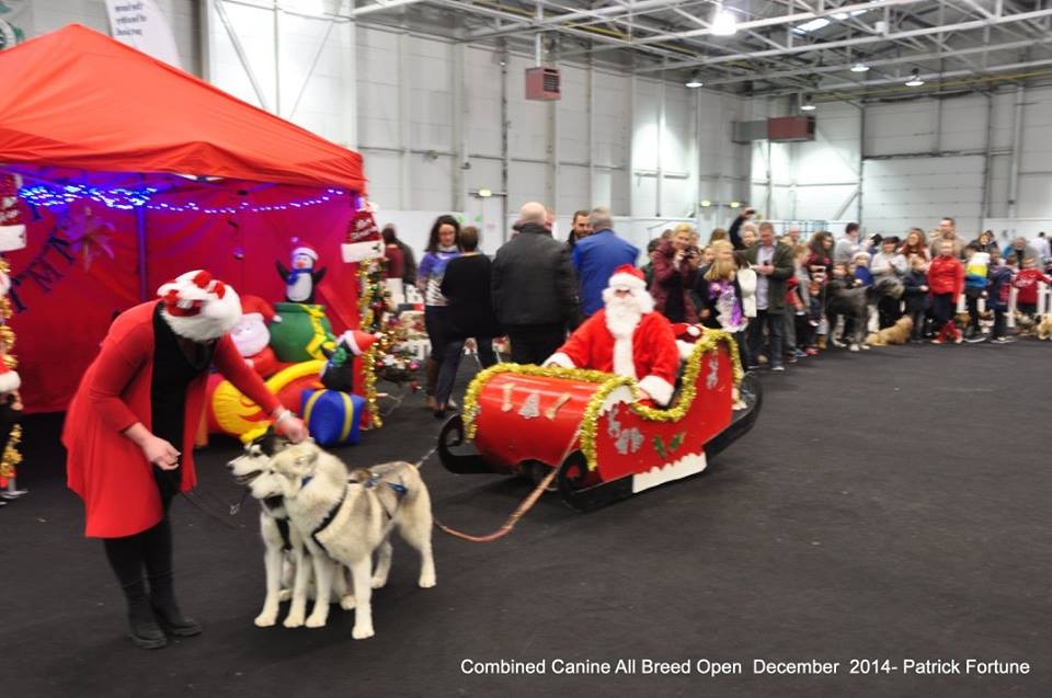 10849794_10204606075644418_7998802738126368297_n